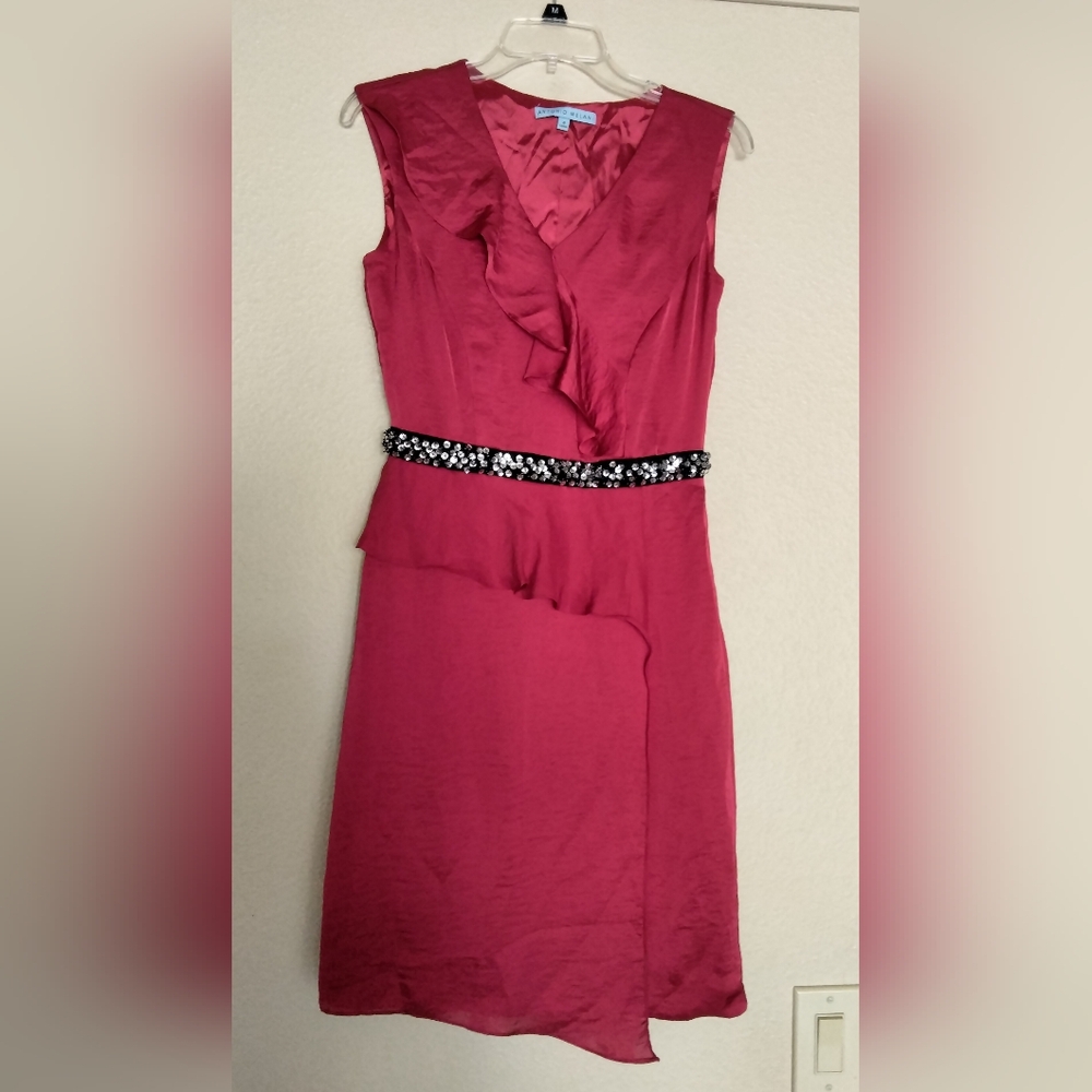 Antonio Melani Claudette Dress Size 4 Red Ruffles Sheath Sequin Beaded V Neck